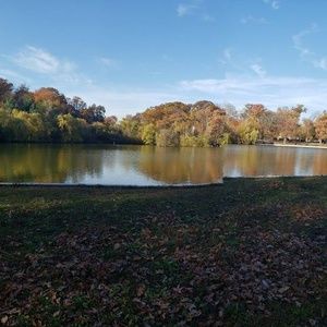 Meet your Posher, Rosita